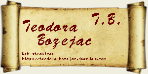Teodora Bozejac vizit kartica